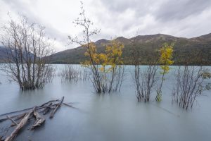 Heavily flooded land